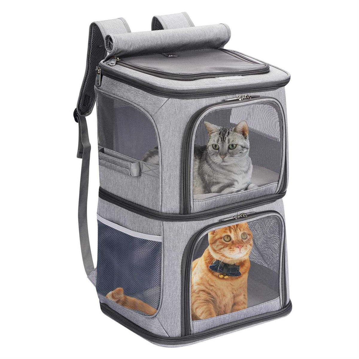 2-in-1 Double Pet Carrier Backpack P216